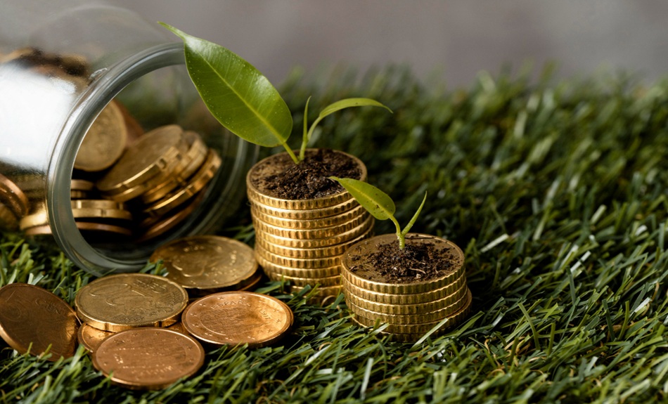What is a green loan